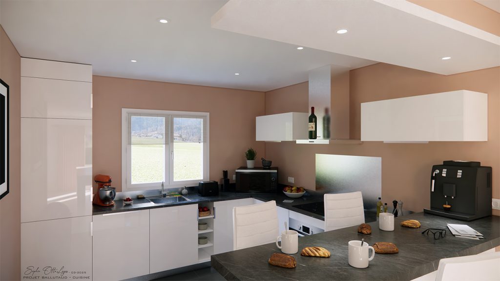 Dans la cuisine, les murs adopteront une teinte Rose poudré, insufflant une ambiance douce et apaisante à l'espace. Les meubles blancs se marieront harmonieusement avec cette nouvelle couleur, renforçant l'élégance et la luminosité de la pièce. Sur le mur gauche, un tableau original représentant un piment rouge enflammé viendra apporter une touche audacieuse et vibrante, complétant ainsi l'ensemble avec caractère.